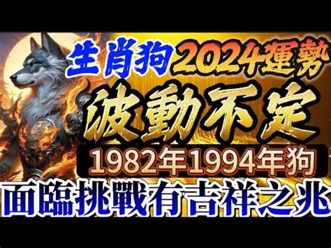 1982屬狗十年運勢|82年狗40岁后十年大运运程 82年属狗人40岁后的运势